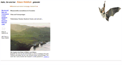 Desktop Screenshot of heblichtv.de